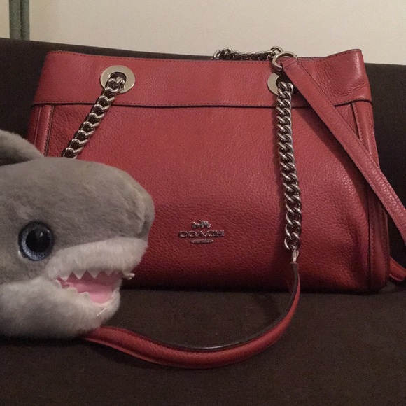maryannshark